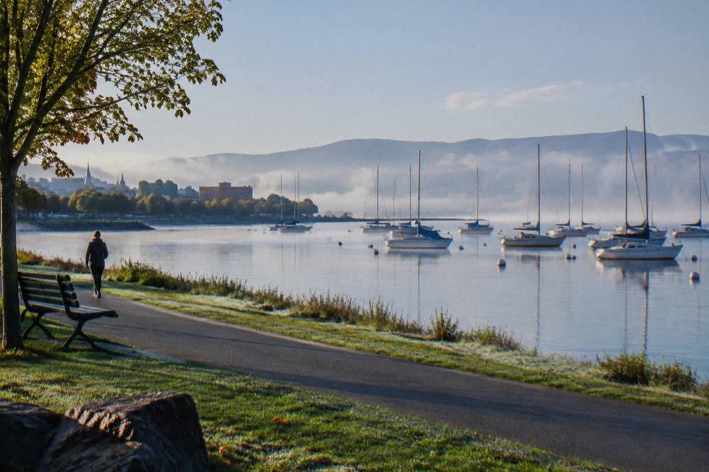 A paved bike path beside a lake with sailboats moored offshore
